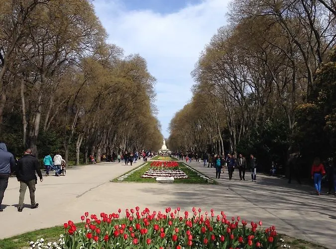 Apartment Sea Garden Lux